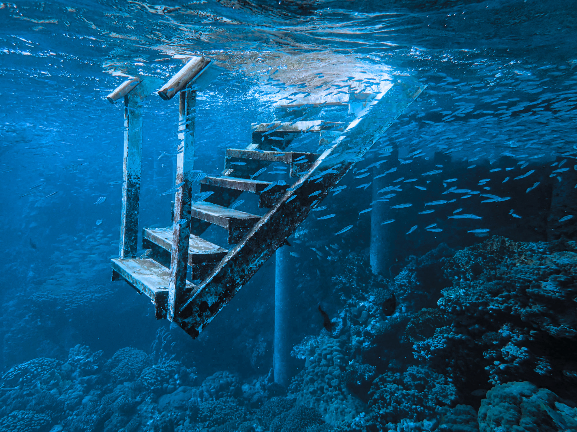 Photo of Stairs Underwater as a metaphor for meditation research